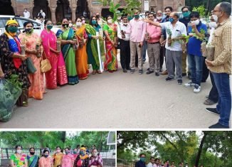 विप्र फाउंडेशन द्वारा किया गया जोधपुर कलेक्ट्रेट परिसर में वृक्षारोपण।