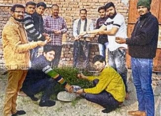 विप्र फाउंडेशन राजाखेड़ा ने द्वारा तुलसी उत्सव के रूप में मनाया बड़ा दिन ।