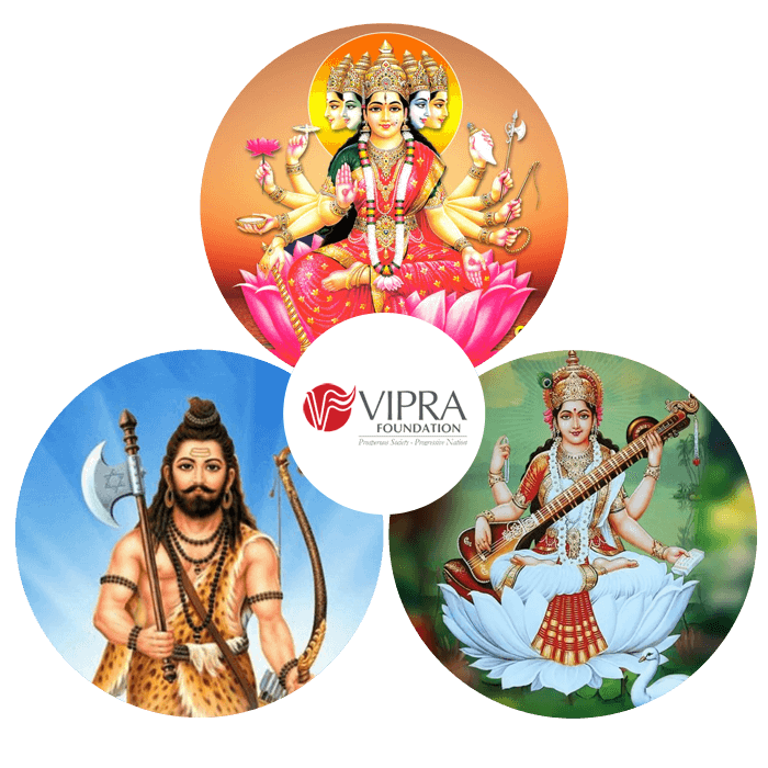 Vipra Foundation: our background